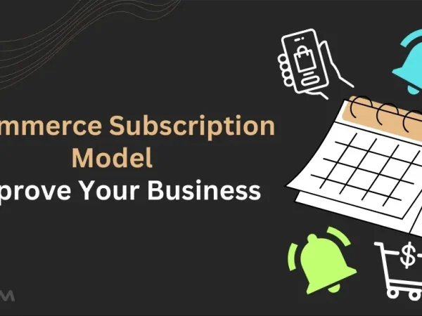 ecommerce subscription models