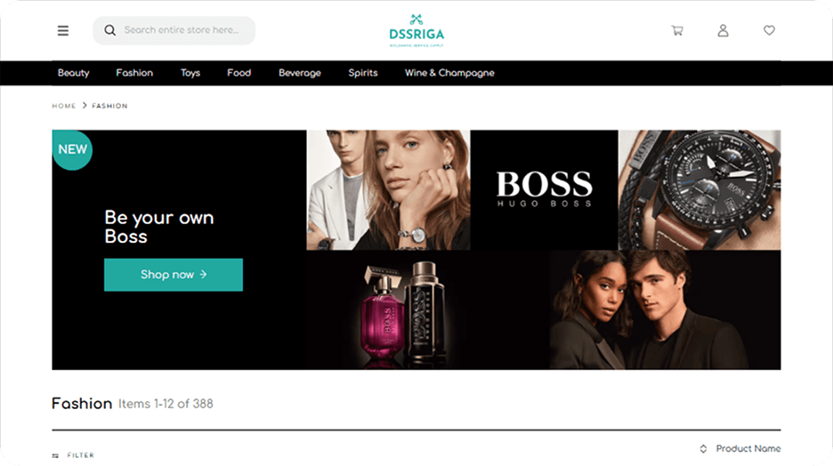 DSSRIGA screenshot